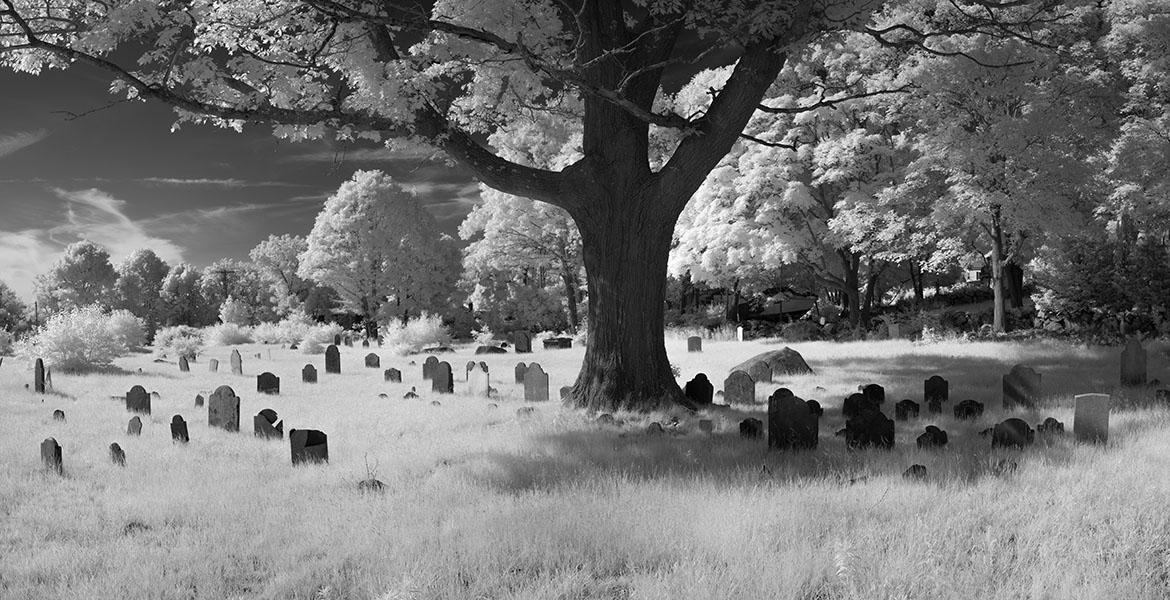Infrared Panonramic Photo of Tree Amongst Old Headstones.